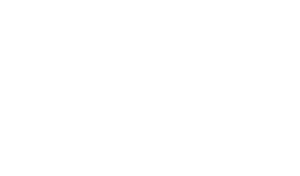 Logo-Footer