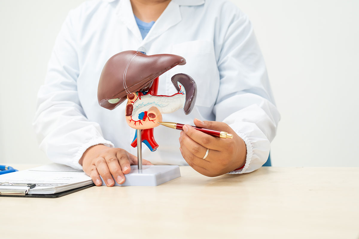 Fatty Liver Treatment in Chennai